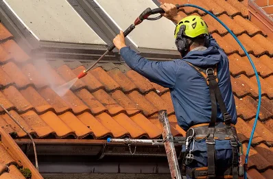 Démoussage et hydrofuge de toiture à Châtelneuf